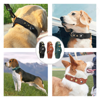 Collier de chien en cuir véritable Apple Air Tag, collier de chien étanche de qualité supérieure, collier AirTag