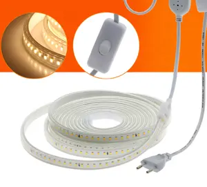 عيد الميلاد في الهواء الطلق ديكو 110V RGB فليكس LED النيون الشريط 12V 24V 110V 220V عالية السطوع الترا رقيقة Led فليكس النيون