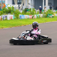 Fabricante Directo de Go Karts para Adultos de 200cc, 270cc y 390cc para Negocios de Alquiler