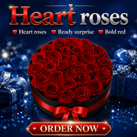 Boîte de 27 roses éternelles de luxe OEM, roses rouges préservées pour la remise des diplômes, Noël, la fête des mères, Pâques, la Saint-Valentin