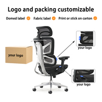 Chaise de bureau ergonomique haut de gamme en maille avec dossier poli, accoudoirs 4D et appuie-tête réglable