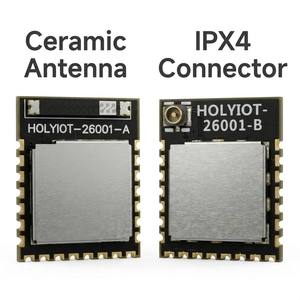 Módulo Bluetooth 6.2 Nordic NRF54L15 Holyiot-26001-A/B de Tamaño Ultrapequeño - Product Image 2