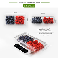 Kontainer Buah Blueberry 12 OZ PET Transparan Dua Kompartemen dengan Lubang Ventilasi