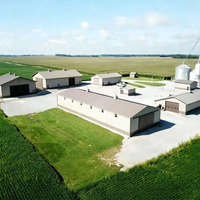 Bâtiment préfabriqué moderne en structure acier pour poulailler et hangar d'élevage bovin, avec installation facile et ossature en acier galvanisé
