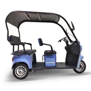 Good Quality easy to ride 3 Wheel Trike 600Cc electric tricycle with Cheap Shipping