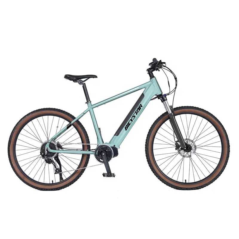 Goedkoopste 750W E Fiets Brusshless Motor Elektrische Fiets/E-Bike Mountain Mid-Motor/29 Inch mountainbike Elektrische Fiets