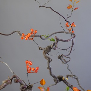 Arbres artificiels en bois de <span class=keywords><strong>jujube</strong></span> rétro, branches de fleurs séchées pour Noël et Pâques, plante artificielle de style rétro unique - Product Image 5