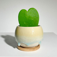 Maceta de Cerámica para Suculentas y Cactus con Efecto de Grieta de Hielo y Esmalte Fluido, Diseño Minimalista Semielaborado, Pequeña Maceta de Escritorio