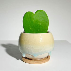 Vaso in <span class=keywords><strong>Ceramica</strong></span> per <span class=keywords><strong>Piante</strong></span> <span class=keywords><strong>Grasse</strong></span> e Cactus con Effetto Craquelé e Smalto Fluido, Design Minimalista Semi-artigianale, Piccolo Vaso da Scrivania - Product Image 5