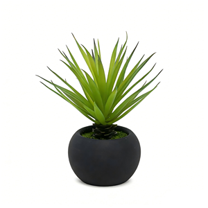 Plante succulente verte artificielle avec pot en papier mâché noir, <span class=keywords><strong>herbe</strong></span> de sabre verte artificielle en pot pour la décoration de la maison - Product Image 6
