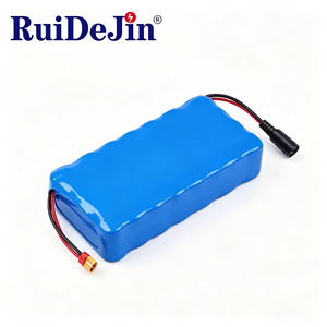 Pack de batteries lithium-ion ODM OEM 46,8 V 80 Ah pour robot aspirateur et robot nettoyeur de vitres avec batterie personnalisée - Product Image 2