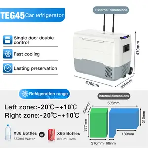 Aile gezileri için WAYCOOL TEG45 40L çift bölgeleri taşınabilir Mini araç soğutucu araba buzdolabı buzdolabı