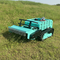 Tondeuse à gazon télécommandée sur chenilles en caoutchouc diesel 80 cm 100 cm, prise en charge de la personnalisation OEM