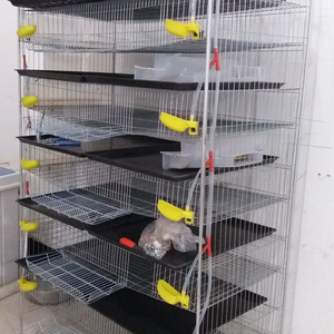 Equipamento para Avicultura: Gaiola Comercial para Codornas Tipo H de 6 Camadas para Venda - Modelo HJ-QC400A - Product Image 2