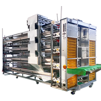 Meilleur Prix Cages Automatiques en Batterie pour Poules Pondeuses d'Élevage de Volaille