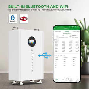 Batería de Litio de 51.2v 48v 200ah 10kw, Sistema de Almacenamiento de Energía Doméstico, Grado A, Almacenamiento de Energía Solar CAN, Capacidad de 100ah, Tipo de Salida de CA - Product Image 3