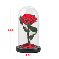 Cadeaux pour la fête des mères Fleurs de roses éternelles naturelles faites à la main Roses préservées éternelles dans un dôme en verre pour maman, femme et petite amie