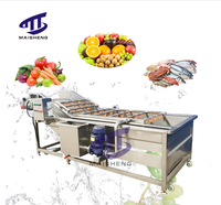 Machine à laver industrielle à bulles pour fruits et légumes-Mangue, dattes, bleuets, fraises, fruits de mer-Laveuse de nettoyage