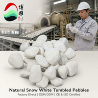 Galets de marbre blanc neige de qualité supérieure, naturels, écologiques, modernes, pierres décoratives de luxe pour jardins, villas, cours