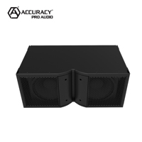 Accuracy Pro Audio LA210 Altavoz de Arreglo en Línea Pasivo Profesional Doble de 10 Pulgadas para Escenario y Conciertos, Sistema PA