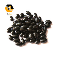 Capsules de propolis de qualité supérieure 700 mg |   Extrait de propolis d'abeille haute puissance |   Fabrication OEM/ODM en gros disponible pour le bien-être quotidien
