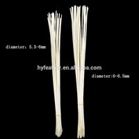 Teint entier grand naturel plume de paon pour fête carnaval maison mariage pièce maîtresse noël Vase vacances décor bricolage artisanat Floral