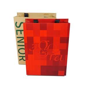 Bolsa de Regalo Reciclable con Logotipo Personalizado y Borde de Color - Product Image 6