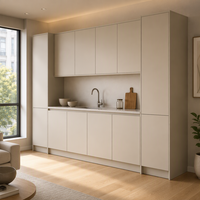 Lemari Dapur MDF Lacquer Kustom Modern Set Kabinet Seluruh Rumah Unit Pantry Tinggi