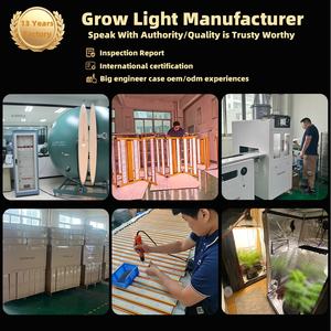 Venta al por mayor 3,2 Umol/<span class=keywords><strong>J</strong></span> Grow Led Light Full Spectrum 1800W 2000W Samsung Lm301h Grow Led Light para Green House - Product Image 6