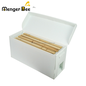 5 marcos de polipropileno plástico Nuc Hive Box Bee Hive Queen Bee Mating Nuc Boxes - Product Image 1