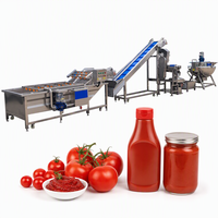 Geavanceerde productielijn voor tomatenproducten: tomatenpuree, tomatenjam, ketchup.