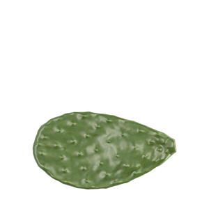 Assiette en cactus bio 18x10 cm pour servir des plats - Product Image 1