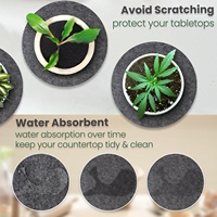 12 sous-verres absorbants pour plantes, 3 tailles (4/6/8 pouces), réversibles, en feutre rond, pour plantes d'intérieur