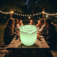 Lampe LED en forme de rose, extérieure, étanche, multicolores, télécommande, IP54, décoration de vacances, Noël, Halloween