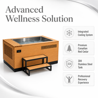 Baignoire de trempage à froid de luxe au design architectural moderne en bois naturel avec revêtement en acier inoxydable 304
