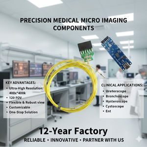 Sonde de caméra jetable ultra-mince de 1,5 mm avec capteur OVM6946 400x400p, idéale pour le diagnostic par <span class=keywords><strong>bronchoscope</strong></span>, urétéroscope et ORL. - Product Image 1