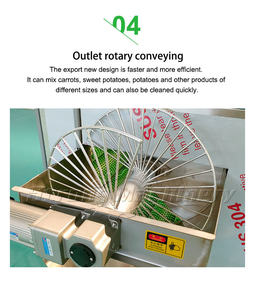 Pelado de verduras y lavadora para patatas, zanahorias, yuca, cúrcuma, ñames, jengibre, para materias primas - Product Image 6