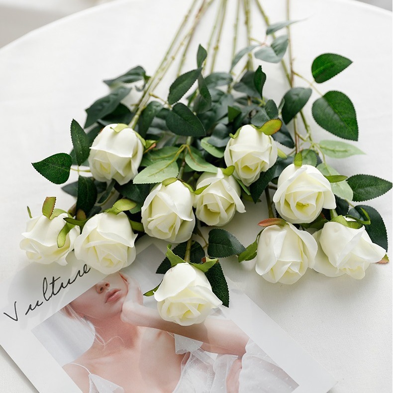[rosa della montagna di neve] [bianco haoyue]
