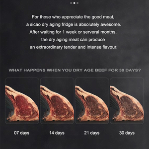 SICAO 380L Frigorifero Professionale per Stagionatura di Carne, Bistecche, Prosciutto, Armadio Refrigerato per Esposizione e Conservazione - Product Image 6