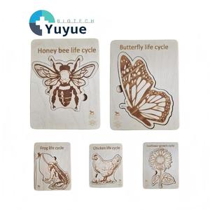Rompecabezas <span class=keywords><strong>de</strong></span> Madera Montessori del Ciclo <span class=keywords><strong>de</strong></span> Vida, Juego <span class=keywords><strong>de</strong></span> Insectos, Animales y Plantas, Etapas <span class=keywords><strong>de</strong></span> Crecimiento, Juguete Educativo Cognitivo <span class=keywords><strong>de</strong></span> Ciencia para Niños - Product Image 1