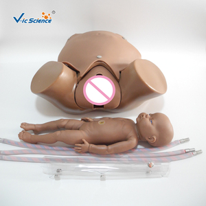 Manichino Avanzato per Addestramento alle Abilità di Parto, Modello per Simulazione di Parto Naturale di Donne in Gravidanza, in PVC, Marca VIC SCIENCE - Product Image 3