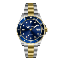 Montre mécanique de luxe 41 mm, automatique, lumineuse, étanche 300 m pour homme, montres mécaniques, Reloj Uhren