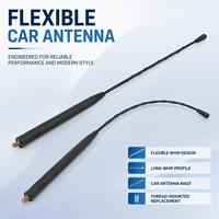 Antenne de voiture universelle flexible, longue spirale filetée, pour toit, remplacement OEM personnalisé pour auto et SUV