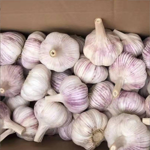 Exportation de l'ail congelé neuf cueilli de quatre à six gousses HACCP BRC IQF 4-6 gousses d'ail congelées - Product Image 2
