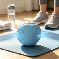 Kabelloser Mini-Handmassagegerät mit 5 Geschwindigkeiten, 2000mAh, ABS/Silikon, Vibrierender Kugelmassager mit 15-Minuten-Timer für Körpermassage, Direkt vom Chinesischen Hersteller