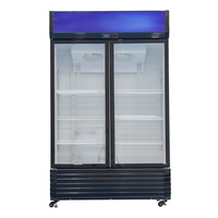 Réfrigérateur commercial vertical économique pour boissons avec porte vitrée – Idéal pour les magasins, bars et commerces de détail
