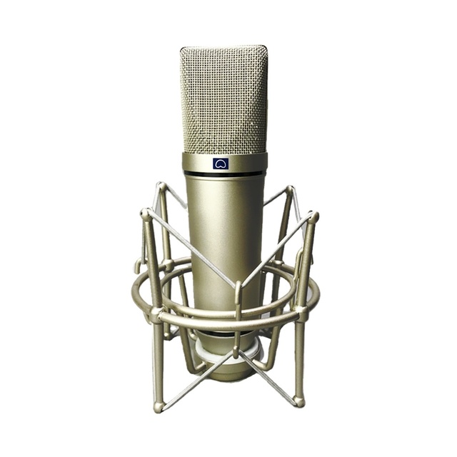 MKE87 Professional Large Diaphragm Recording Condenser Body Microfono Mini Diy Small Tube 800 Condenser Microphone
