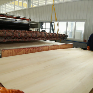 Paquete de 20mm sin terminar, juguete de techo, 3mm, 5mm, 12mm, 15mm, 18mm, producto de madera contrachapada de abedul de tilo y madera contrachapada cortada con láser para juguetes y regalos - Product Image 6