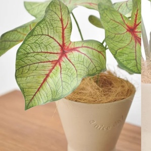 Faux calathea orbifolia พืชเทียมที่แตกต่างกันอย่างหรูหราสำหรับการออกแบบตกแต่งภายในที่ทันสมัย - Product Image 6