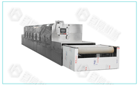 Industriële Automatische Droge Blad Mango Chili Tunnel Magnetron Droger Commerciële Vlees Groentevoedsel Fruit Sterilisatie Machine